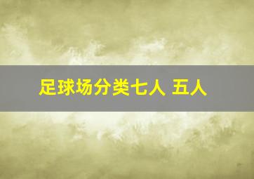 足球场分类七人 五人